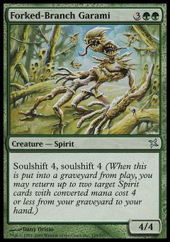 Garami Ramo-Biforcuto