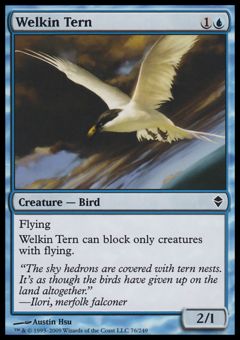 Sterna del Cielo