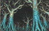 Foresta di Cielsudario